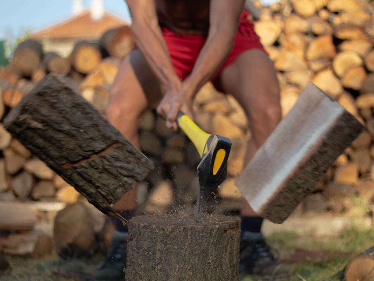 Emergency Storm Tree Removal in Mountain Village, CO